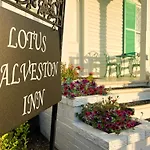 Lotus Galveston