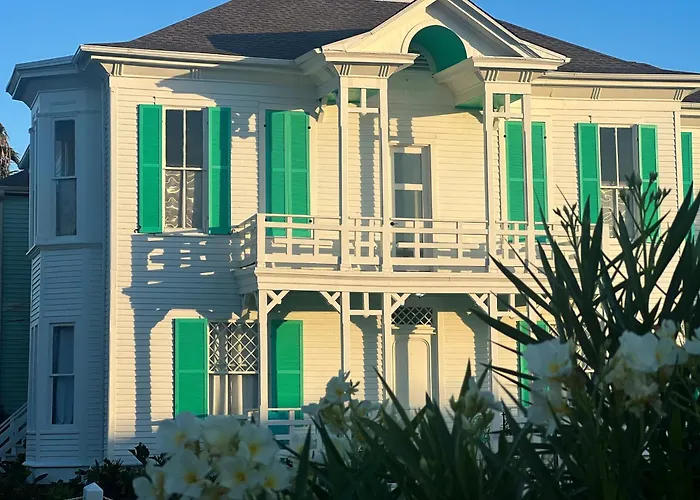 Lotus Galveston