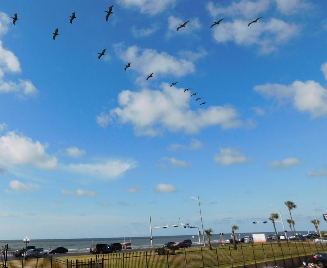 Seas The Day! * Galveston