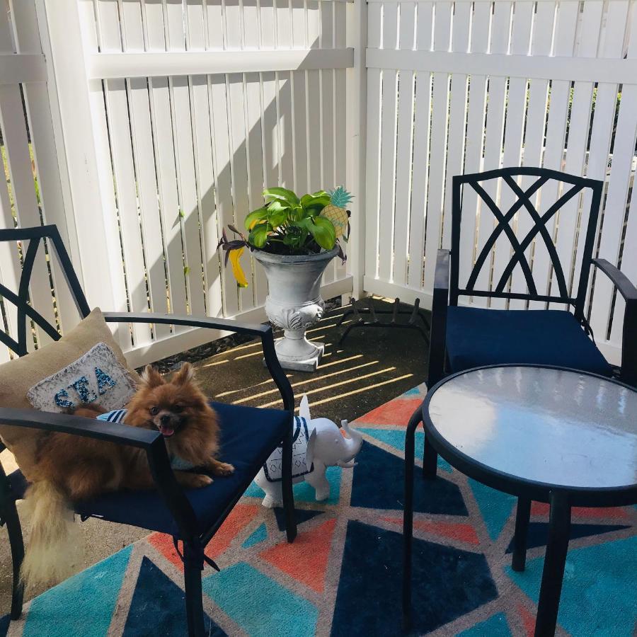 Sevin On Sunday “a Sunny By The Beach”