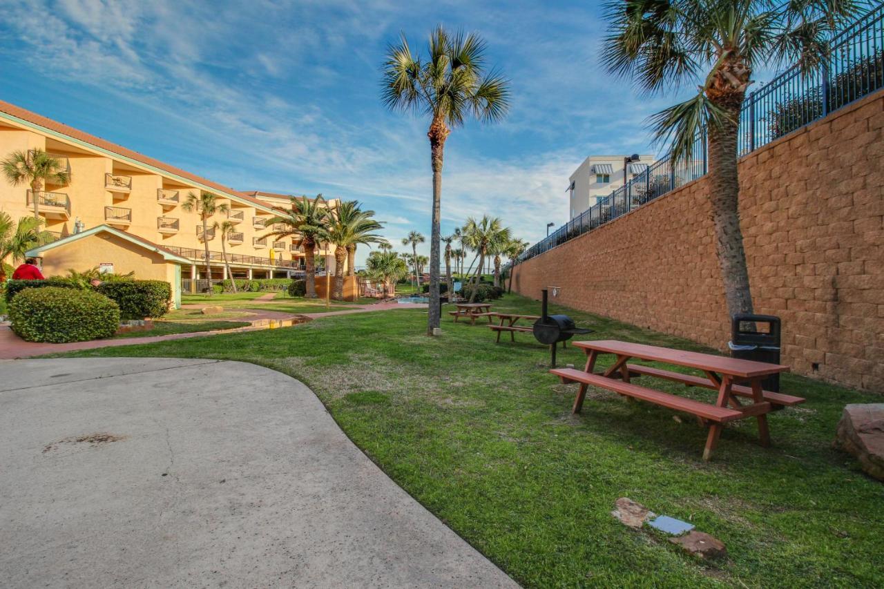 Cove By The Seawall Apartment *