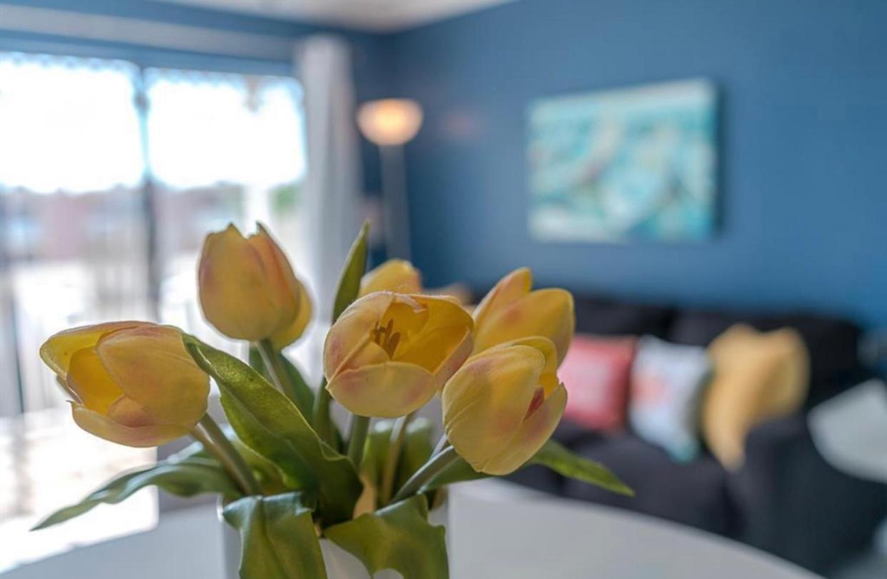 Escape - Floor Ocean Views - Heated Pool - Seawall Blvd * Galveston