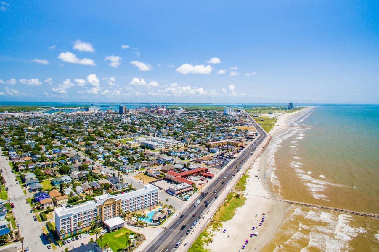 Seawall Ii * Galveston