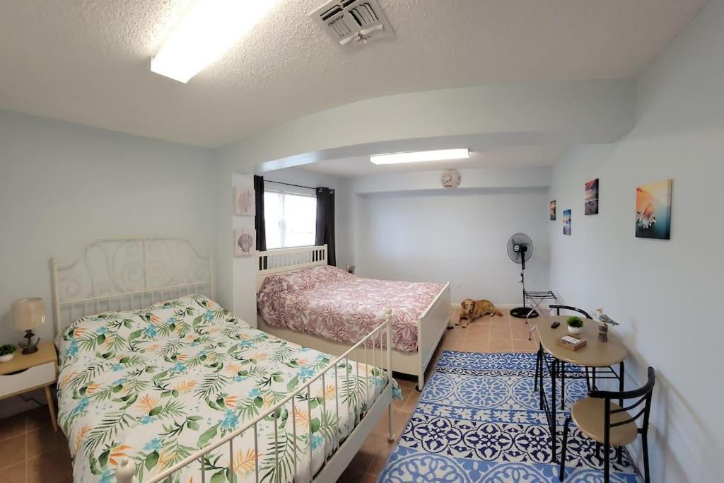 Paradise Lagoon*bayhouse Fishing*beach*dogfriendly Villa Galveston