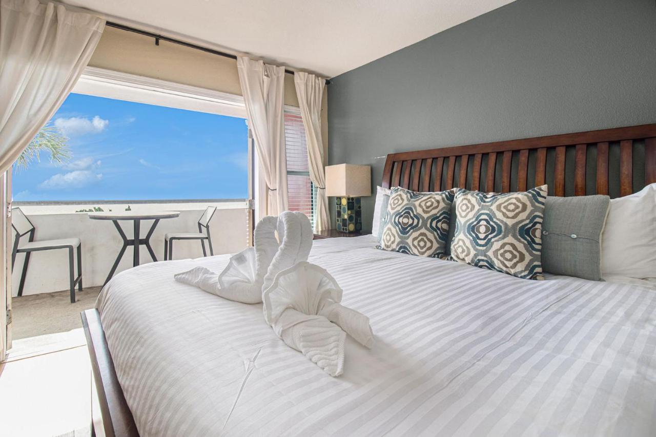Di Cocco #1-oceanfront Dog Friendly W Pool Holiday home