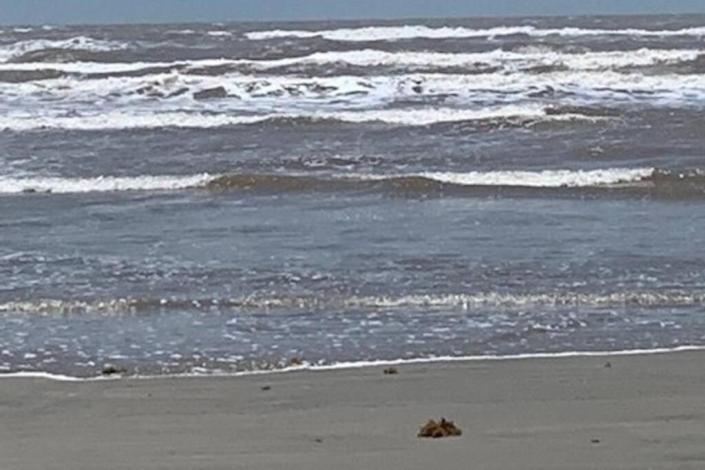 Pelican Hideaway Villa Galveston