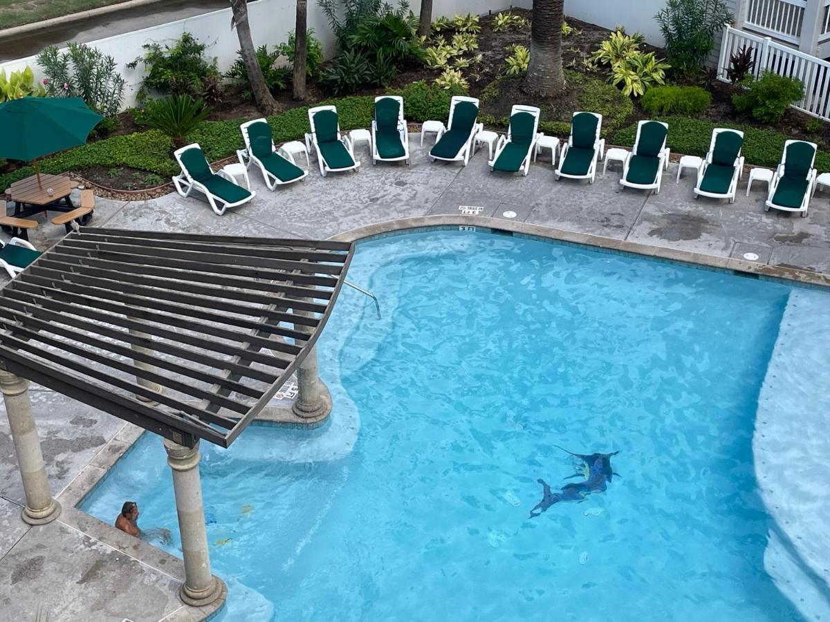 Apartment Casa Del Mar Sun Diamond One Bedroom Retreat - Galveston