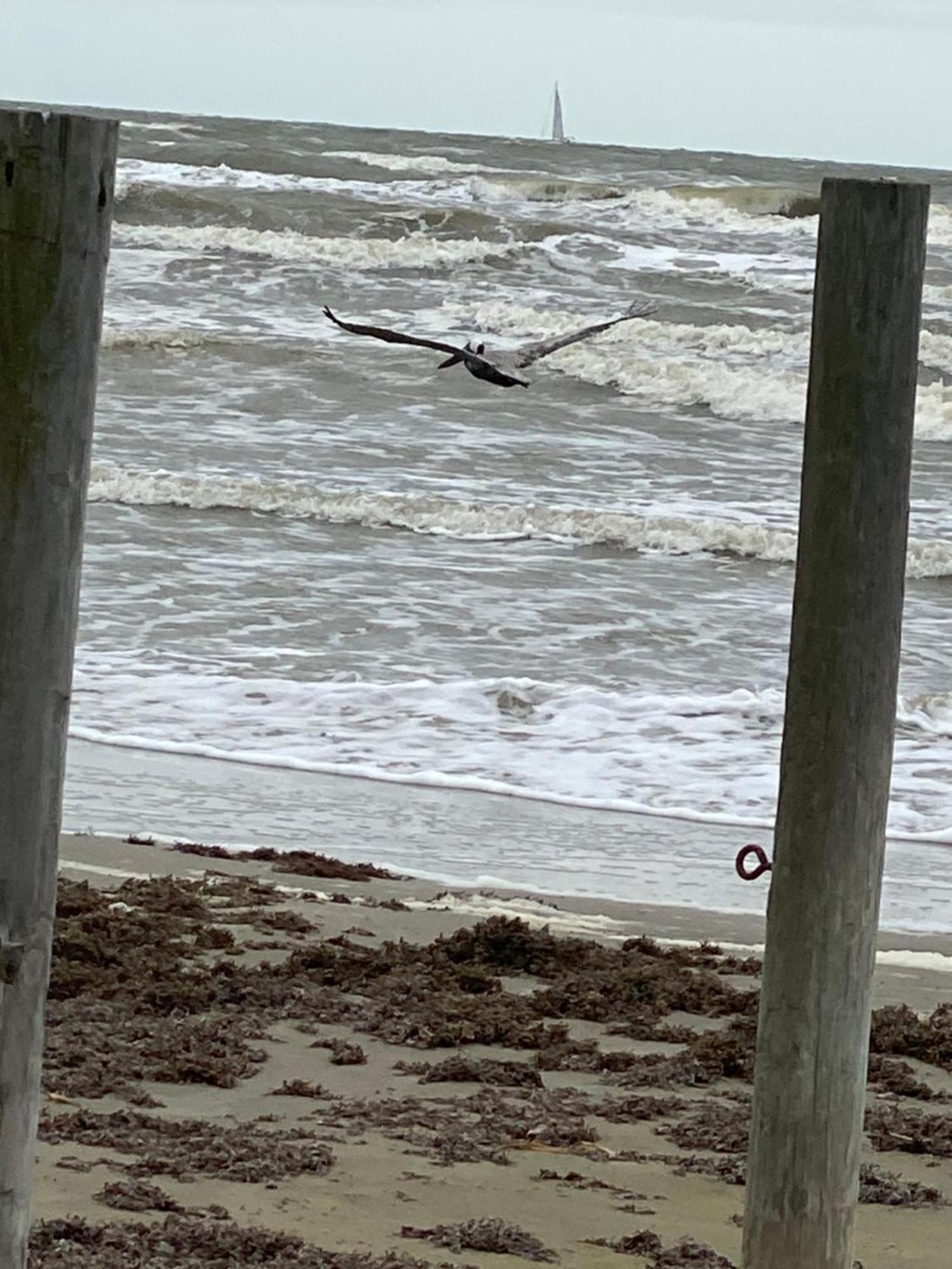 Pelican Hideaway *