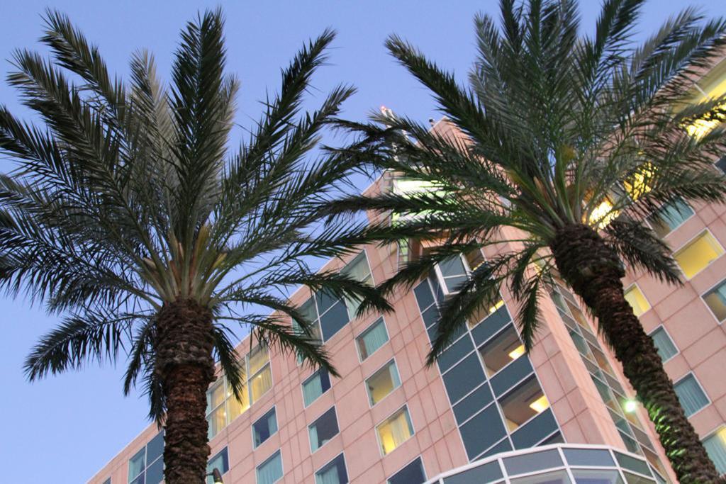 Resort Moody Gardens And Convention Center