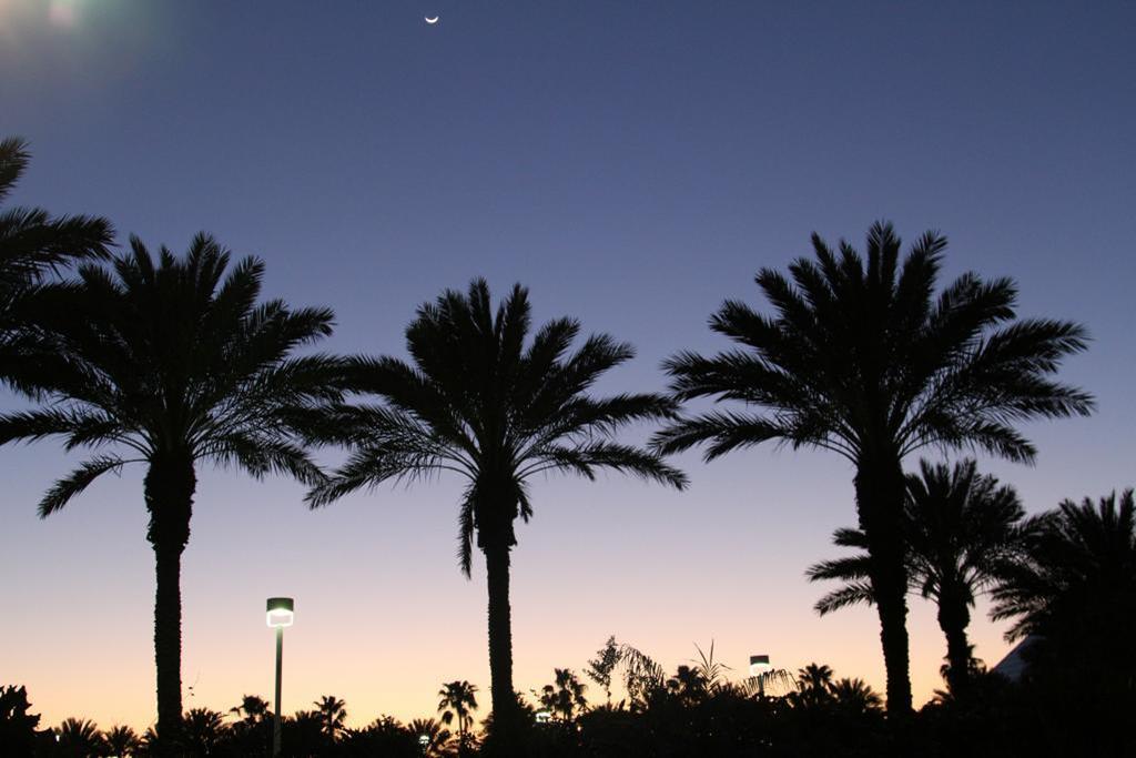Moody Gardens And Convention Center Resort Galveston