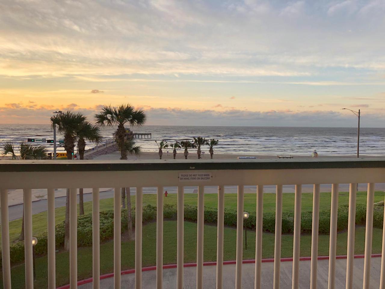 Cdm 304 - Beachfront Serenity Holiday home