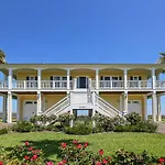 Beachfront Flamingo