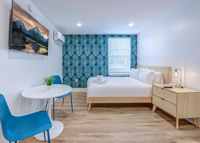 Roaring Tigers Studio Apartment