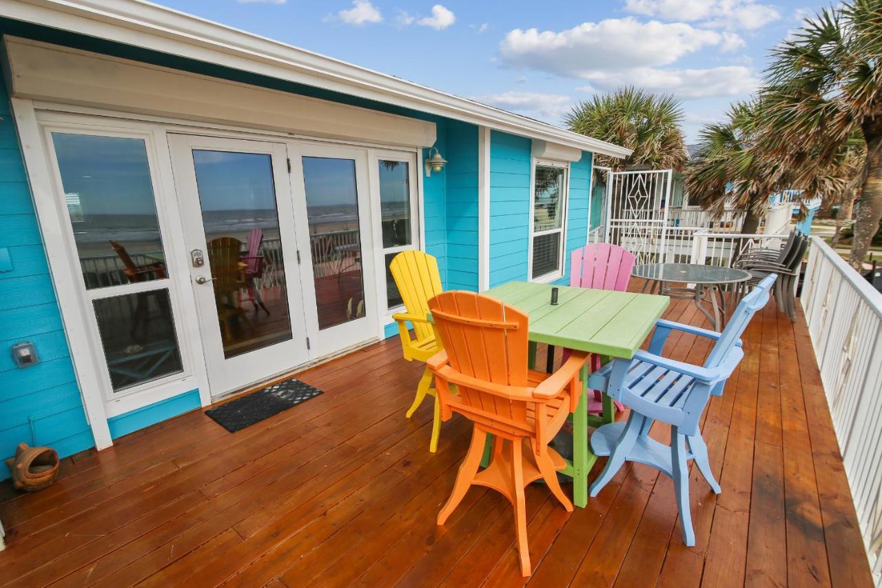 Beachfront Seashell *