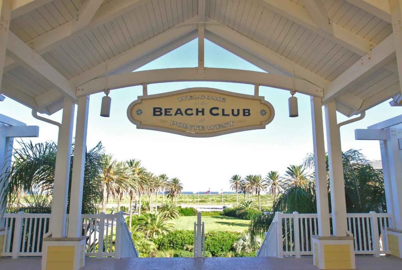 Beachfront Flamingo