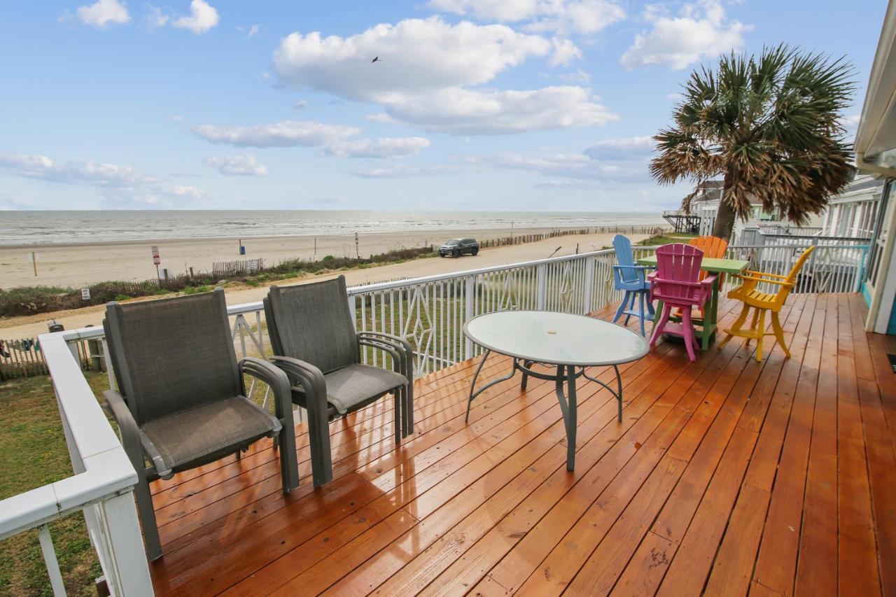 Beachfront Seashell *