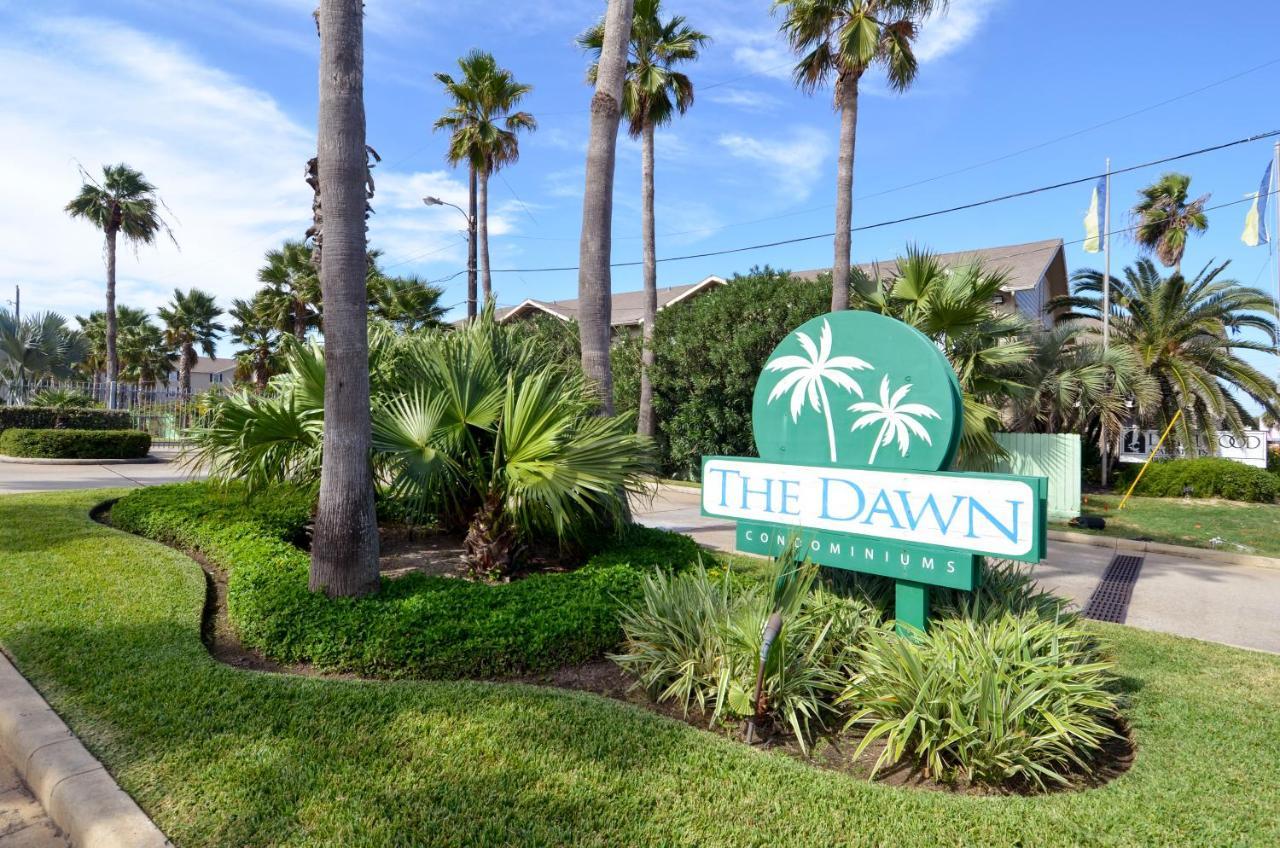 Dawn 614-turtle Reef