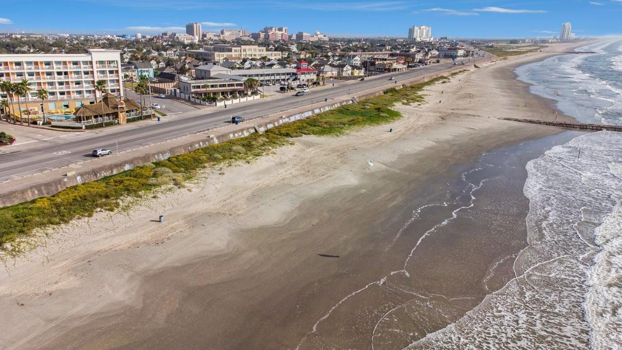 Di Cocco #2-oceanfront Dog Friendly W Pool Holiday home *