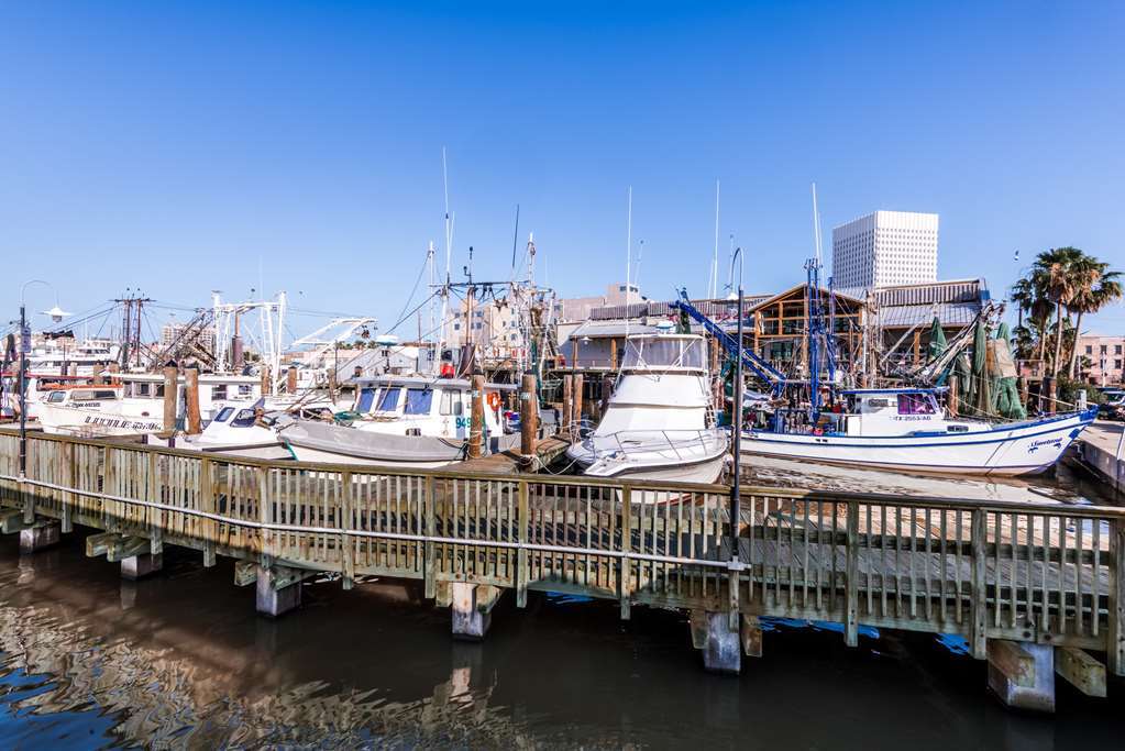 Motel Harbor House And Marina At Pier 21