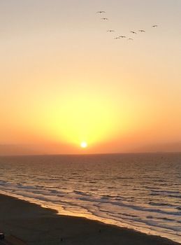 Hotel By The Sea Condos By Thc Galveston