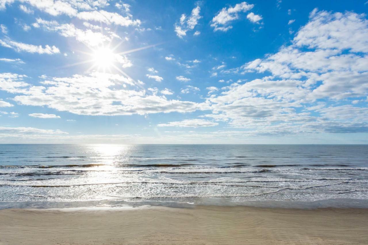 Sunrise In Paradise Galveston
